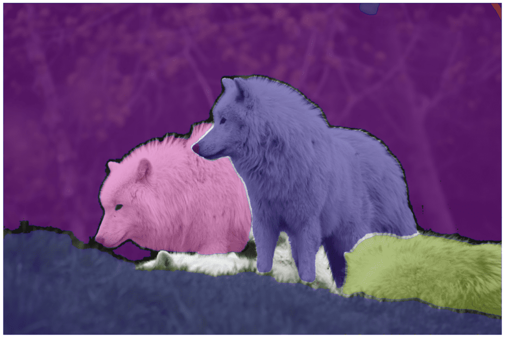 SAM2 segmenting a photograph — this is what it's good at